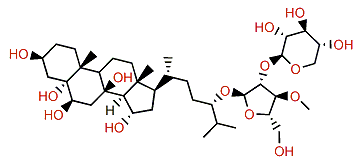 Regulusoside A